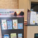 오션산업 | 태안 레피다리조트 후기 | 오션뷰에 가성비까지 (비염·애견동반 현실후기)