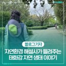 씨유 울산삼호철새공원점 | 자연환경 해설사가 들려주는 태화강 자연 생태 이야기 참가 후기