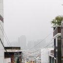 남산아래 이미지