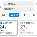 하늘애딸기농장 | 딸기 따기, 먹기 동시에 가능한 경기 광주 곤지암리조트 근처 하늘애딸기체험농장 강추 후기