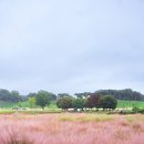 완산역 기후위기시계 | KTX내일로 3일권 뚜벅이여행코스 후기 대구 경주 영천여행