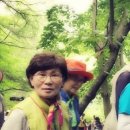 콜핑부산 이미지