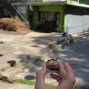 서면 덕두원리 자전거쉼터 | 춘천 가볼만한곳 삼악산 등선폭포 걸어서 10분 초보 코스 추천