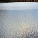 버스정류소_방화역 이미지