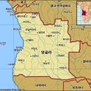 아프리카 티스토리