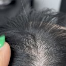 모어댄SMP 이미지