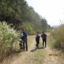 백마농장 이미지