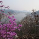 국당1리부조 이미지