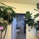 [beauty] 강남역 필라테스 추천 ! 바레프로젝트로 복부+허리 눈엣가시살 삭제, 고주파마사지까지 완벽...