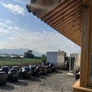 낙동강변로4-22 | 대추밭백한의원. 경주 삼신할아버지 4대 원장님 진료 후기 (feat. 진료비, 복용 방법, 가격, 한방차)
