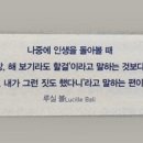 라스타 이미지