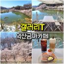 판다팜(금마점) | 익산 금마 카페 갤러리T - 서동공원 벚꽃축제 근처 벚꽃 뷰 카페