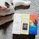 오아후헤어 이미지