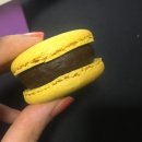 달맛디 이미지