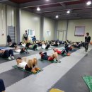 퍼펙트 유도관 이미지