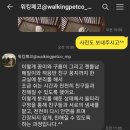 워킹페코 이미지