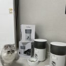 살구팩토리 이미지