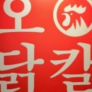 오늘닭