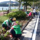 동암체육공원 이미지