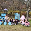 위즈캐슬 이미지