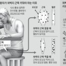 필라햅 스튜디오