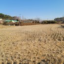 내기새싹길 이미지