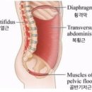 마이애미짐 이미지