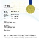 햇빛 열 차단 썬팅 필름 시흥시 정왕동 후기