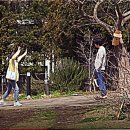 호의민박 이미지