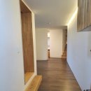 제주애아리 이미지