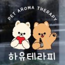 수원-1505 네이버블로그