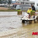 단평1리 이미지