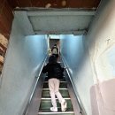 막내횟집 | 남대문시장 맛집_또간집 막내횟집 후기(재방문 의사100%)