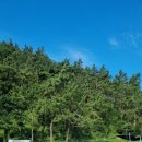 사천리물놀이장 | 전남 무료 물놀이장 진도 사천리 물놀이장 추천