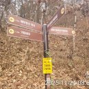 원주굽이길 1코스 가마바우길 이미지