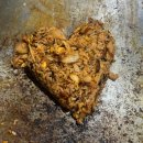 그날이후 불타는삼겹살 | 명지 애견동반 맛집 <그날 이후 불타는 삼겹살> 내돈내산!