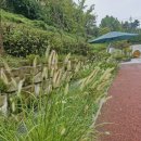 오목천역 3번출구 이미지