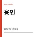 다인야영장 | 용인자연휴양림 예약 카라반 숙소 솔직 후기