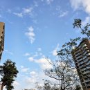 11680-171-104-1외 | 260109. 대만 > 가오슝 여행 - 훠궈 小牧鍋Minimoo, 용호탑,PX마트