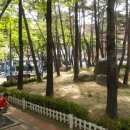 신당5동 이미지