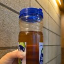 솔향참숯구이 이미지