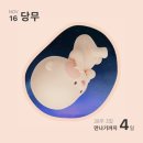 풍산골프데이 | [임신일기] 37-39w. 당무 방빼러 가보쟈잇~!