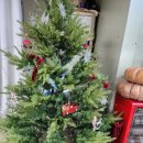 영숙이네 이미지