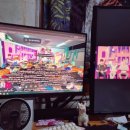 돌돌이네 이미지