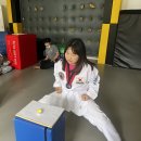 강서비룡태권도 이미지