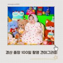 경북 우수작가 초대전 | 경북 경산 출장 100일 촬영 견이그라피 후기(with 동생 부부 작가)