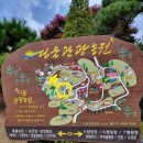 서산 | 다울관광농원 | 3CATS COFFE LAB | 아이 둘과 함께하는 캠핑 후기