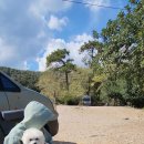 실크로드여관 이미지