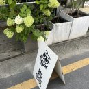 세원약국 | [여행] 2박 3일 서울여행 3일차_서든어택 20주년 팝업스토어 방문후기 (바오서울/천상가옥/파이브가이즈)
