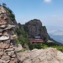 늑대와 여우 이미지